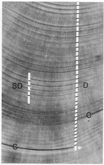 Fig.3