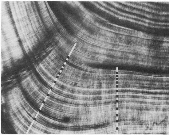 Fig.8