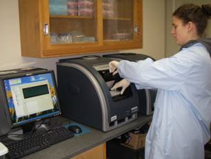 DFO technician Laura Hawley loads a quantitative polymerase chain reaction (PCR) machine to start the reaction to detect genetic material for viral hemorrhagic septicemia virus. Source: Fisheries and Oceans Canada