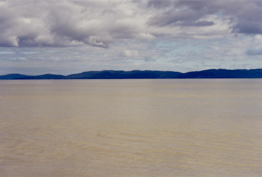 Panache du fleuve Fraser