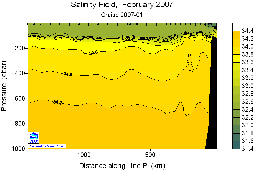 Salinity