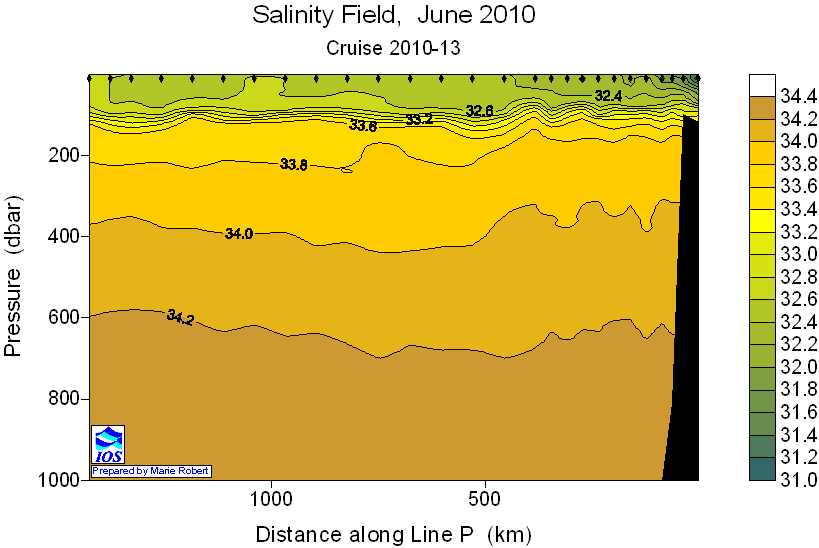 Salinity