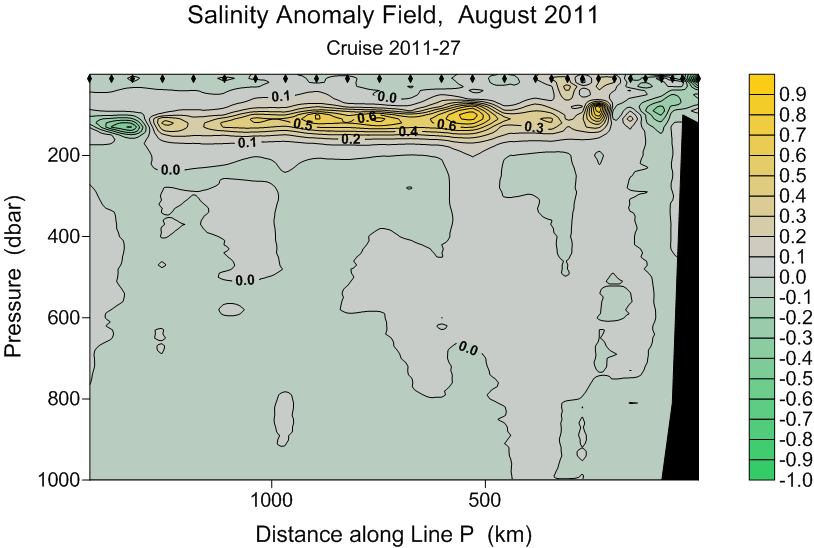 Salinity Anomaly