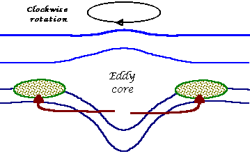 Diagram showing nutrient transport from an eddy to surrounding waters.