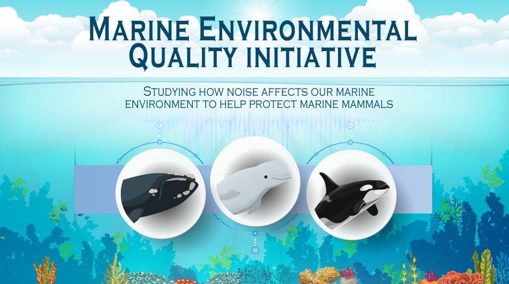 Marine Environment Quality Initiative. Studying how noise affects our marine environment to help protect marine mammals.