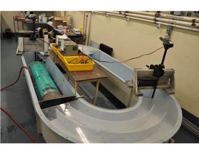 Swim performance is being measured in this custom-built oval-shaped flume
