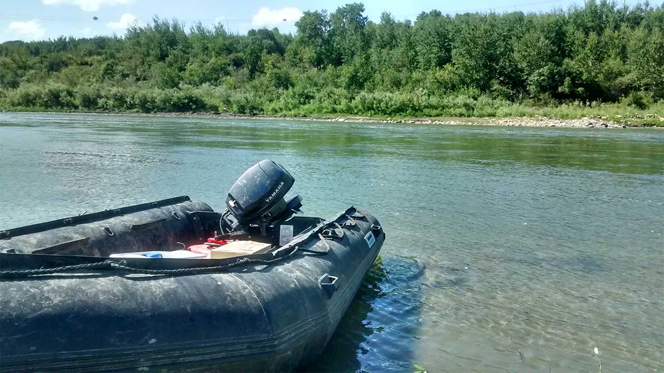 North Saskatchewan River at Highway 3; sampling site for oil spill research