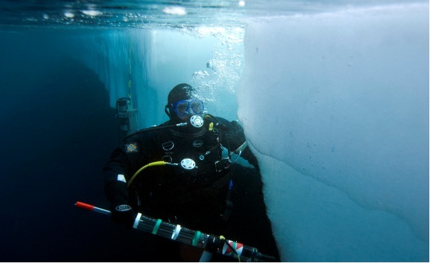 Pêches et Océans plongeuse sous les glaces de l’Arctique