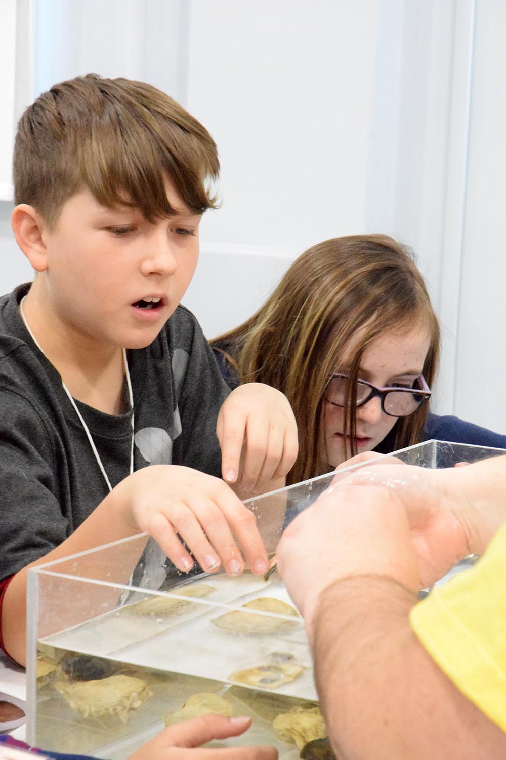 ASEC is a creative and scientific hub that encourages increased involvement of students as future scientists and managers of this amazing resource that belongs to all Canadians. Photo credit: DFO Gulf