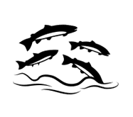 population and ecosystem assessments icon: 4 stylized salmonids jumping in an arc above waves