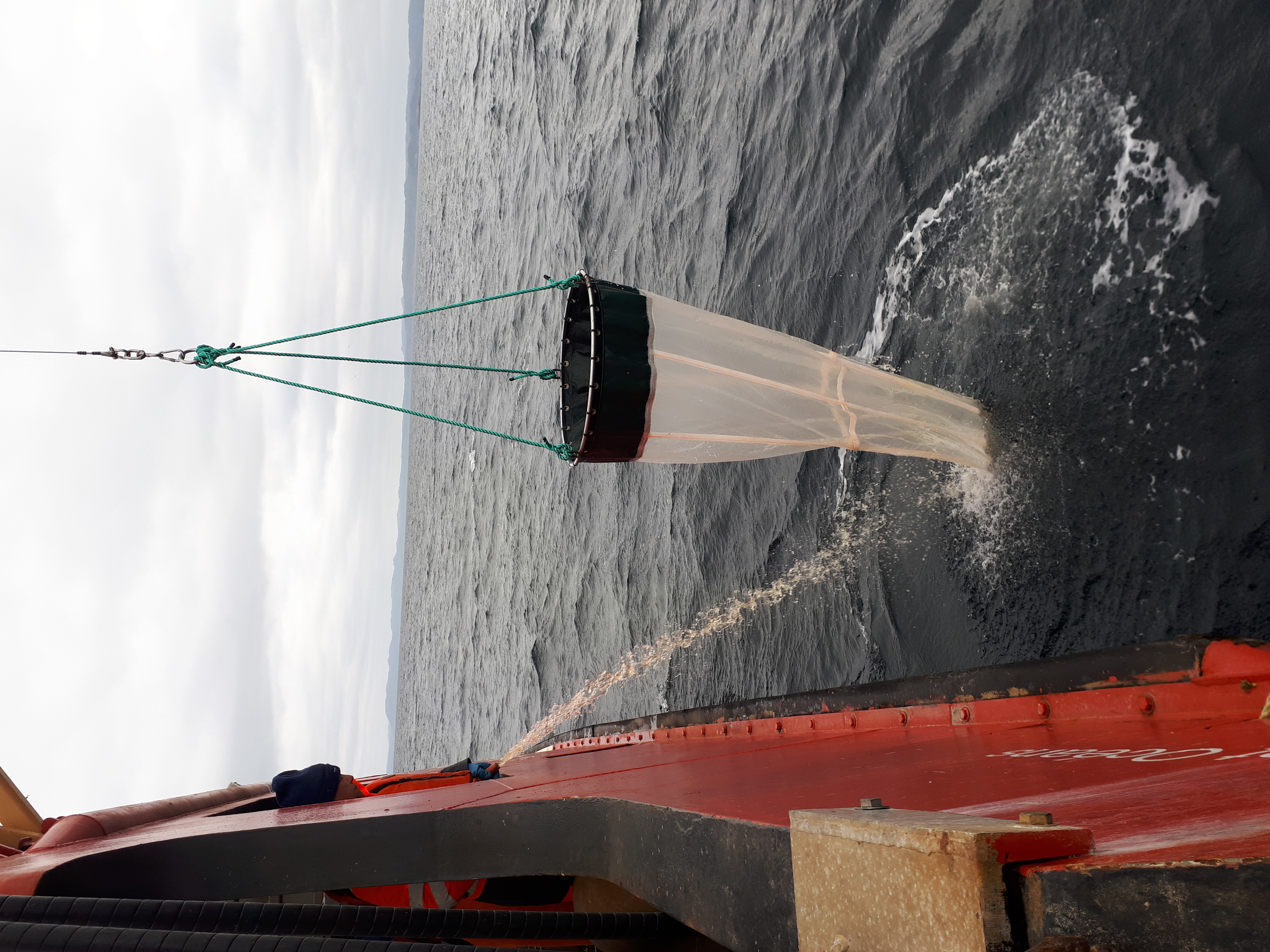 Vu du côté d’un bateau orange, un long filet circulaire est tiré hors de l’eau pour qu’un échantillon de plancton soit prélevé dans la baie Placentia, à Terre-Neuve-et-Labrador.