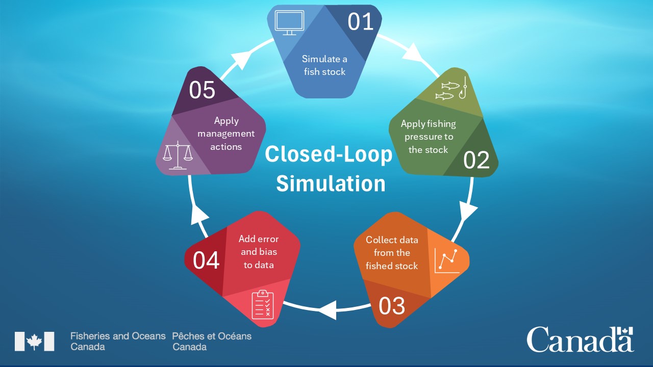 Closed-loop simulation is a repeating cycle. To begin, existing data and OMs are used to simulate a fish stock. Fishing pressure is applied to the simulated stock. Data are collected from the simulated stock. Error and bias are added on purpose to the data. Stock status is assessed or indicators are calculated. MPs are applied to decide what management actions will be taken in the next time step. Then, the cycle begins again.