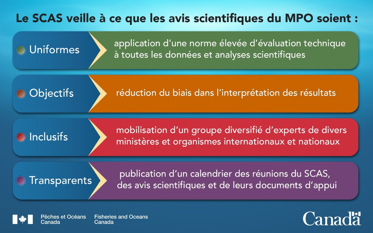 Quatre caractéristiques principales décrivent les avis scientifiques du MPO : crédibles, objectifs, inclusifs et transparents.