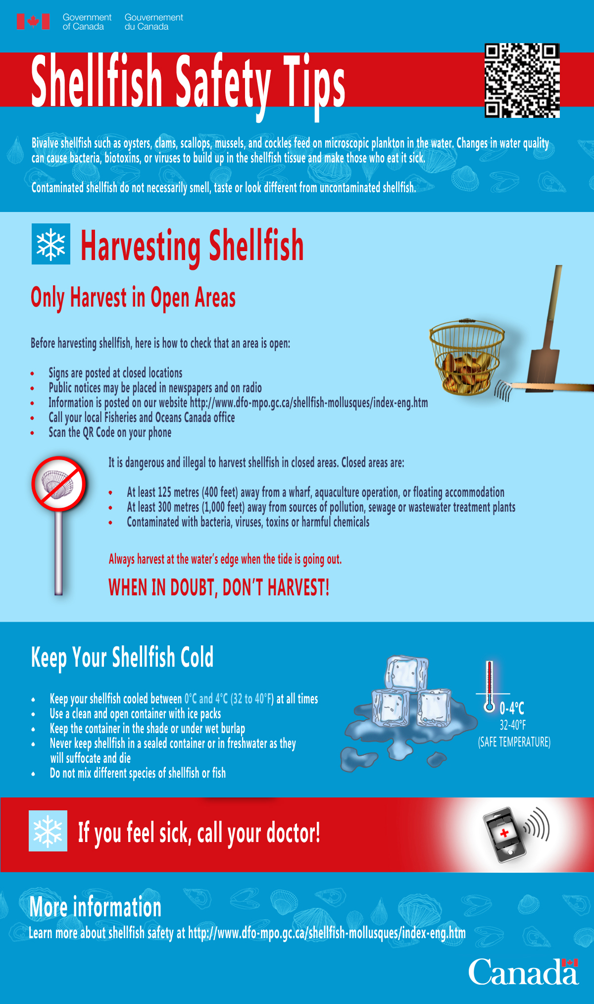 Harvesting Shellfish