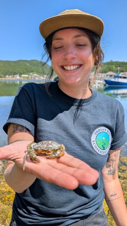 Une personne avec un crabe vert dans la main.
