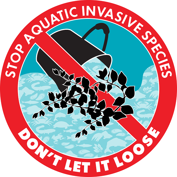 Stop aquatic invasive species – Don’t let it loose.