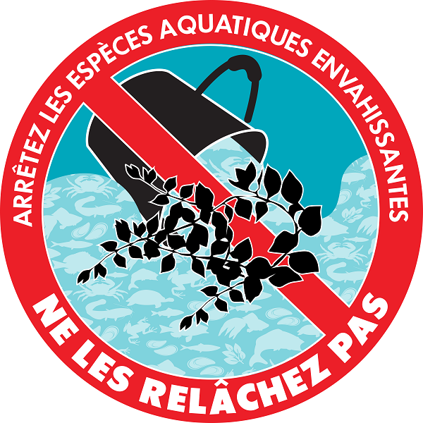 Arrêtez les espèces aquatiques envahissantes – Ne les relâchez pas.