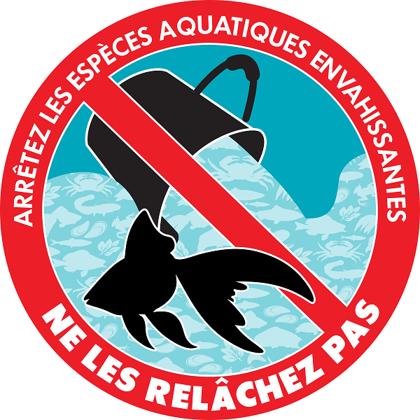 Arrêtez les espèces aquatiques envahissantes – Ne les relâchez pas.