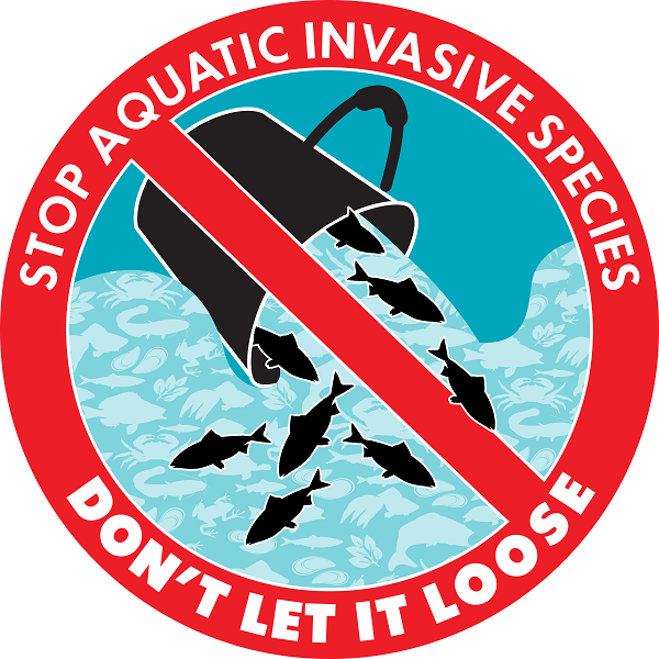 Stop aquatic invasive species – Don’t let it loose.