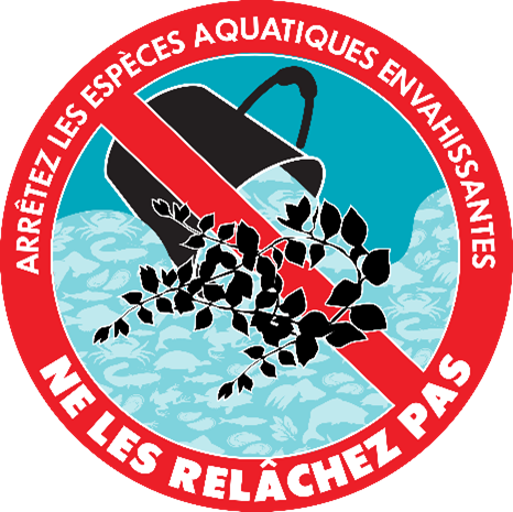 Illustration montrant un seau versant une plante aquatique dans un plan d'eau. Un symbole d'interdiction se superpose à l'illustration, signifiant que l'introduction d'espèces envahissantes dans les environnements naturels est illégale. Dans le symbole, un texte en gras indique Arrêtez les espèces aquatiques envahissantes - Ne les relâchez pas.
