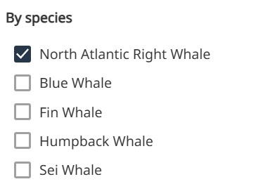 Select a species to see detections of certain species. “North Atlantic Right Whale” is selected by default.