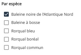 Sélectionnez une espèce pour voir les détections de certaines espèces. « Baleine noire de l’Atlantique du Nord » est l’affichage par défaut.