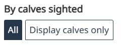 Select “Display calves only” to see all sightings that included a calf.