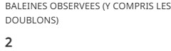 Le nombre de baleines observées est indiqué en fonction de l’étendue de la carte.