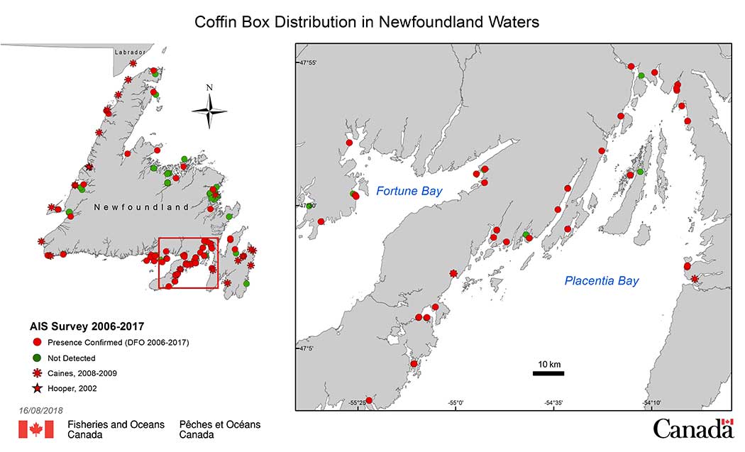 Coffin Box Distribution in Newfoundland Waters
