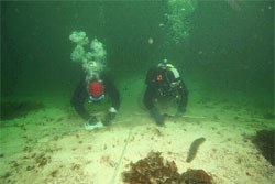 Photo: Survey divers with metre bars and clipboard with data sheets. Photo Dominique Bureau