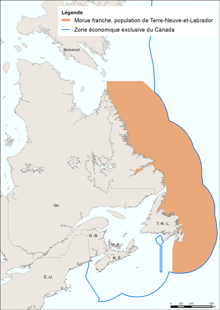 Cette carte présente la localisation de la population de Terre-Neuve-et-Labrador de morue franche. Elle s'étend de l'extrémité nord du Labrador aux eaux côtières et hauturières du Labrador, jusqu’à l'est de Terre-Neuve et des Grands Bancs.