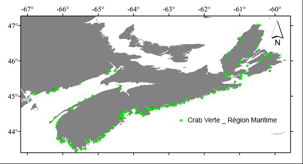 Distribution du crabe vert dans la région des Maritimes.