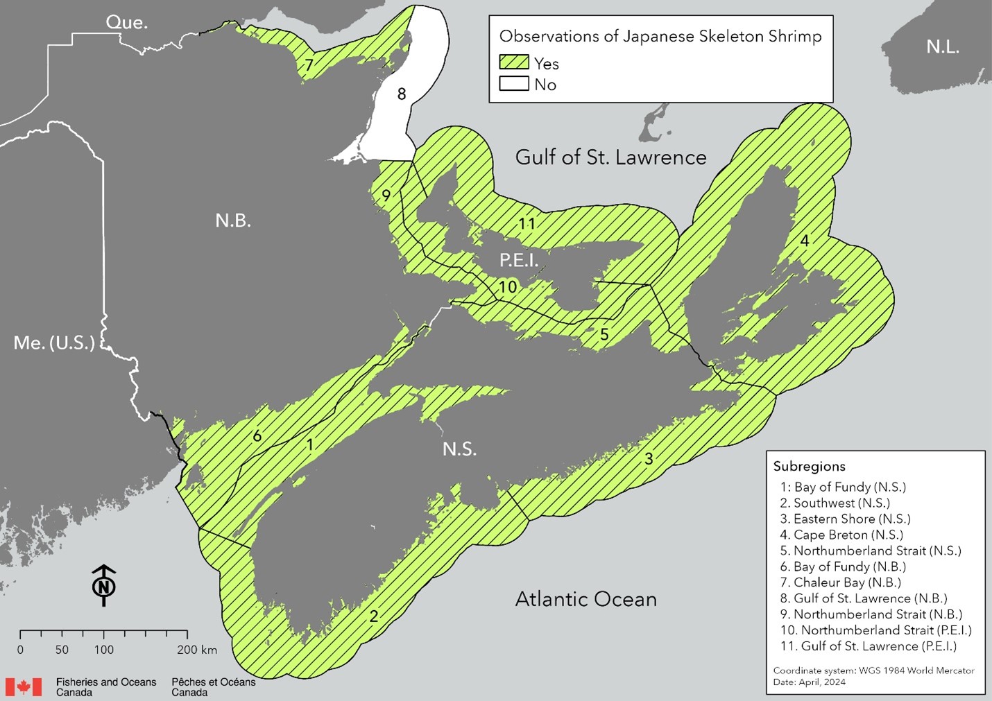 Map showing the Canadian Maritime Provinces: Nova Scotia (N.S.), New Brunswick (N.B.), Prince Edward Island (P.E.I.). Their surrounding coastal waters are divided into subregions, which are outlined in black. Areas that have green shading indicate that Japanese Skeleton Shrimp has been observed in subregions: 1: Bay of Fundy (N.S.), 2: Southwest (N.S.), 3: Eastern Shore (N.S.), 4: Cape Breton (N.S.), 5: Northumberland Strait (N.S.), 6. Bay of Fundy (N.B.), 7: Chaleur Bay (N.B.), 9: Northumberland Strait (N.B.), 10: Northumberland Strait (P.E.I.), 11: Gulf of St. Lawrence (P.E.I.).