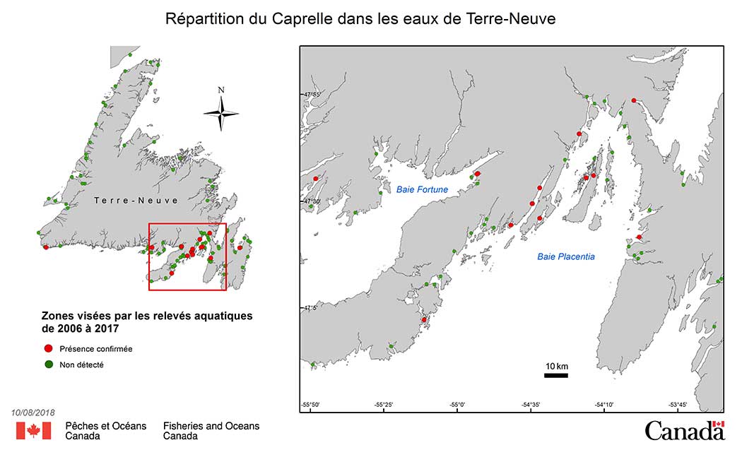 Répartition du Caprelle dans les eaux de Terre-Neuve.