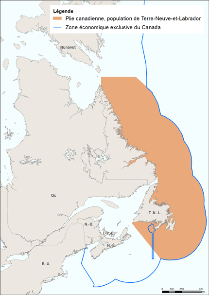 Plie Canadienne Population De Terre Neuve Et Labrador