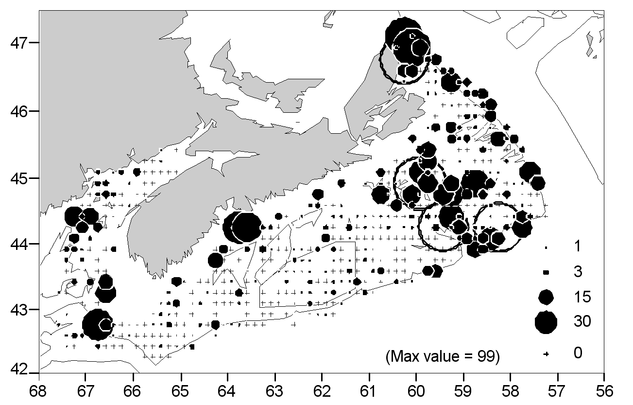 Figure 7 - Numbers per tow of Witch Flounder over 14 cm for 1993-1997 (Summer Surveys)