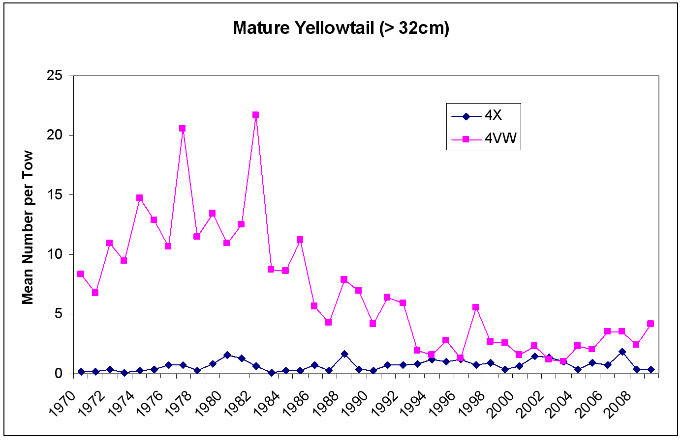 Figure 13 - Mature Yellowtail chart
