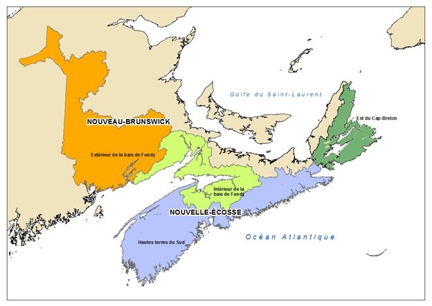 Figure 1. Aire de répartition de la population de saumons de l’IBF (vert clair) par rapport aux trois autres populations de saumons de l’Atlantique dans la région des Maritimes : population de l’extérieur de la baie de Fundy (orange), population des hautes terres du Sud (bleu), population de l’est du Cap-Breton (vert foncé).