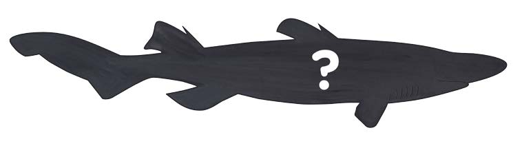 Lanternshark