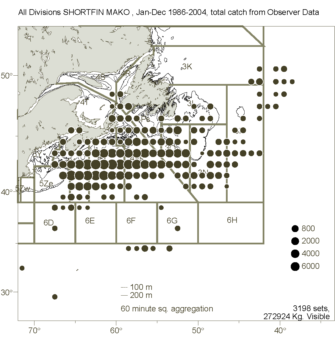 Mako Shark Size Chart