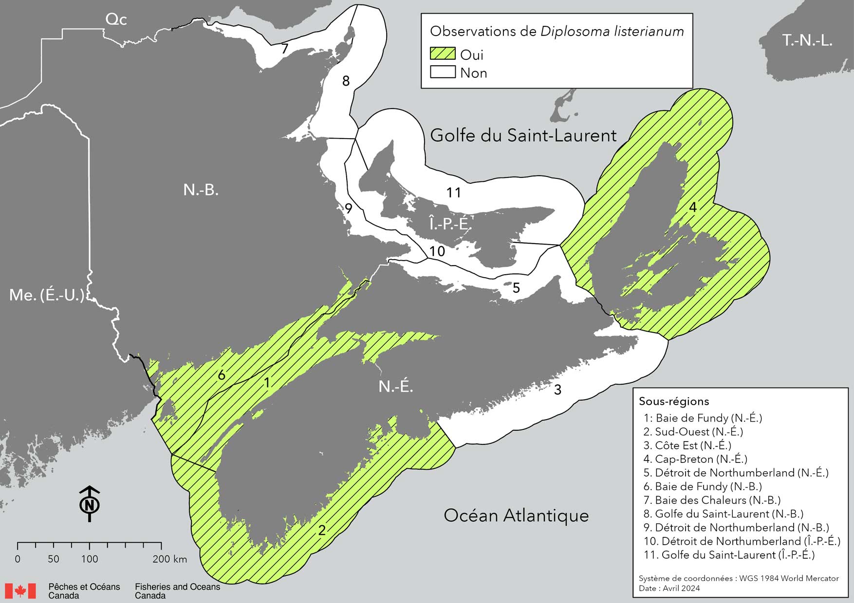 Carte montrant les provinces maritimes canadiennes: Nouvelle-Écosse (N.-É.), Nouveau-Brunswick (N.-B.), Île-du-Prince-Édouard (Î.-P.-É.). Les eaux côtières environnantes sont divisées en sous-régions, qui sont délimitées en noir. Les régions ombrées en vert indiquent que le Diplosoma a été observé dans les sous-régions: 1 : Baie de Fundy (N.-É.), 2 : Sud-Ouest (N.-É.), 4 : Cap-Breton (N.-É.), 6 : Baie de Fundy (N.-B.).