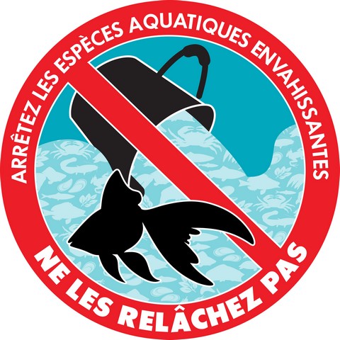 « Logo « Arrêtez les espèces aquatiques envahissantes – Ne les relâchez pas » du Ministère de Pêches et Océans Canada (MPO) »