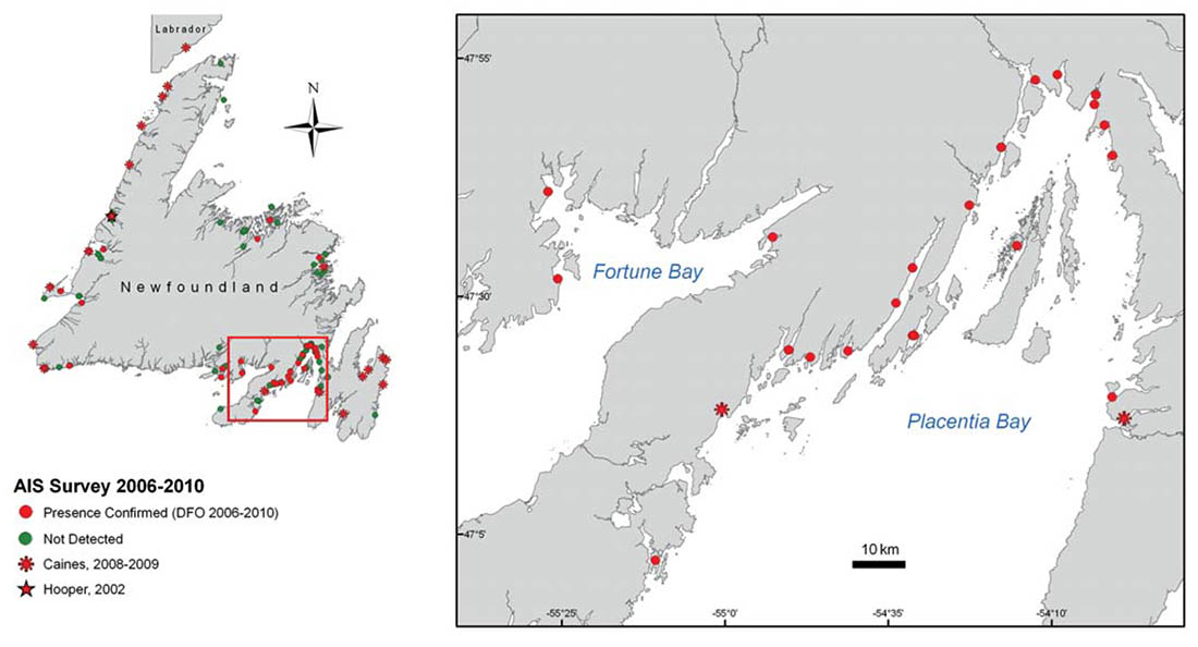 Map of coffin box distribution in Newfoundland waters
