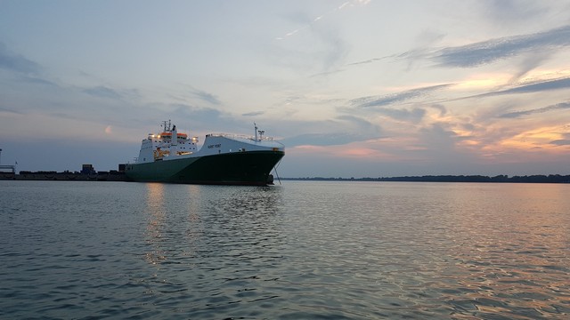 Navire commercial pouvant être un vecteur de propagation des espèces aquatiques envahissantes 