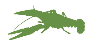 Crayfishes pictorial key