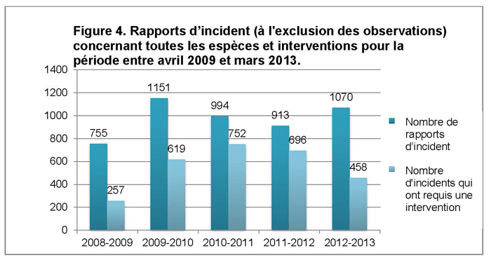 Figure 4. Rapports d'incident