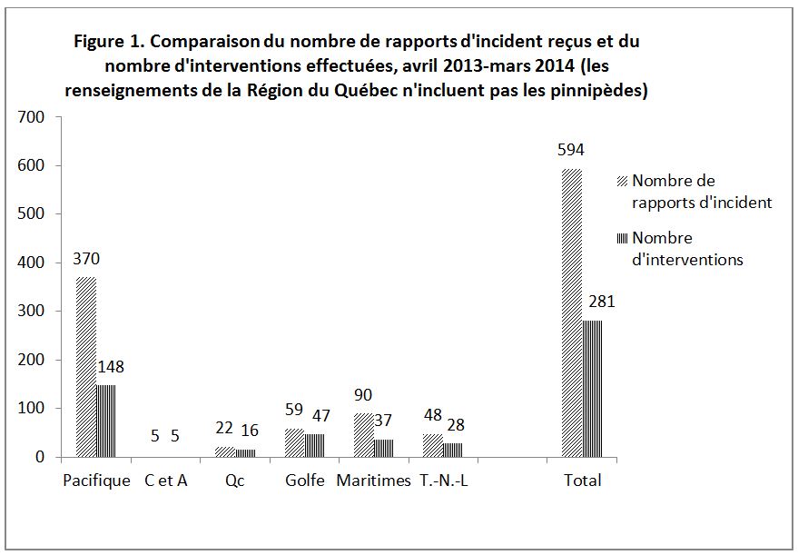 Figure 1. Comparaison du nombre de rapports d'incident reçus et du nombre d'interventions effectuées, avril 2013-mars 2014 (les renseignements de la Région du Québec n'incluent pas les pinnipèdes)