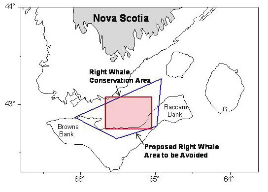 Inuit whalers warned after infectious 'cat parasite' found in