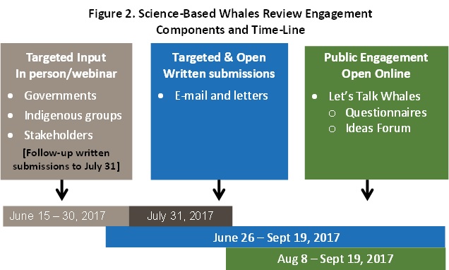 Figure 2. Science-Based Whales Review Engagement Components and Time-Line