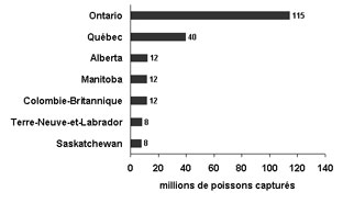 Figure 4.6 : diagramme à barres illustrant le nombre de la récolte totale de poissons au Canada pour des provinces sélectionnées en 2005. La récolte totale de poissons en Ontario était 115 millions. La récolte totale de poissons au Québec était 40 million. La récolte totale de poissons en Alberta était 12 millions. La récolte totale de poissons au Manitoba était 12 millions. La récolte totale de poissons en Colombie-Britannique était 12 millions. La récolte totale de poissons à Terre-Neuve-et-Labrador était 8 millions et la récolte totale de poissons en Saskatchewan était 8 millions.
